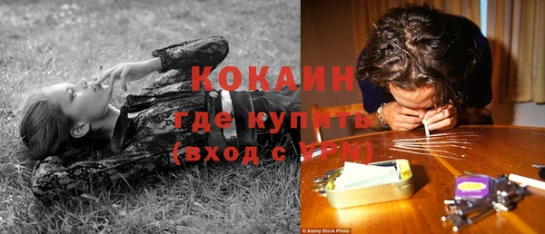 прущие крисы Абаза