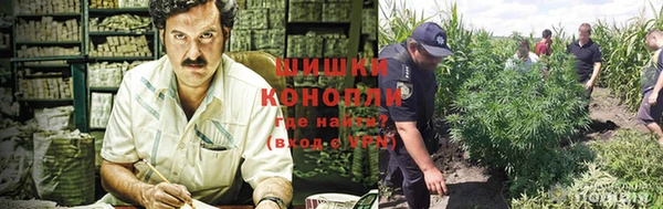 молекула духа Алексеевка