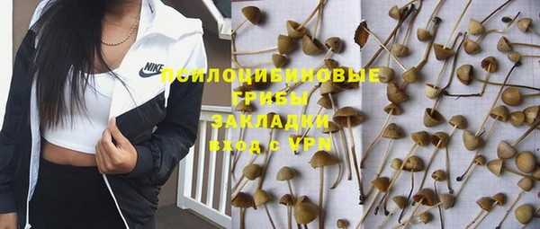 прущие крисы Абаза