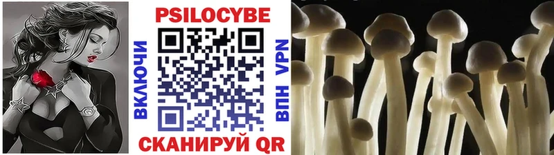 Галлюциногенные грибы GOLDEN TEACHER  Новое Девяткино 